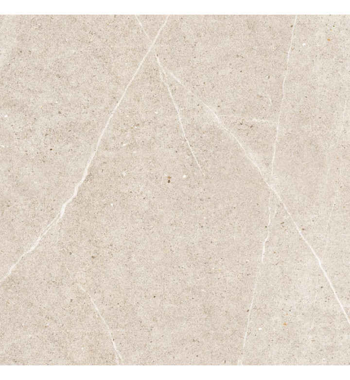 Гранитогрес 45.6 х 45.6 cm, Fusion Taupe