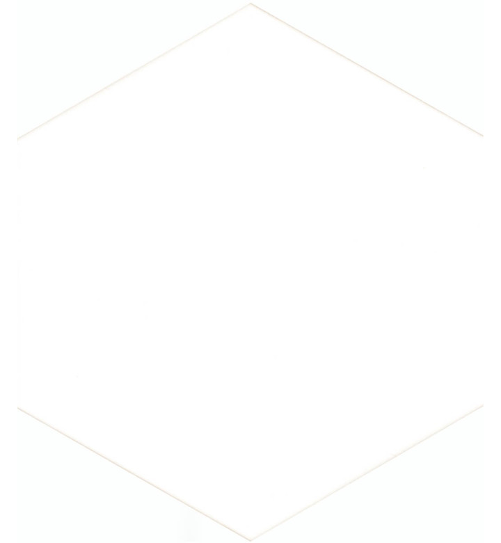 Гранитогрес Solid White matte, 21.5 x 25 cm, HEX