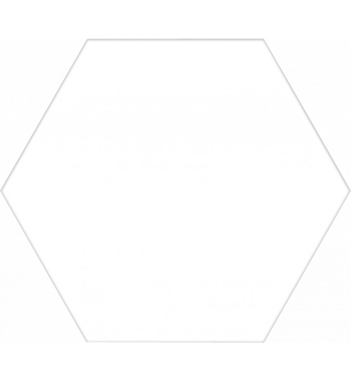 Гранитогрес 25x25 cm Hex Basic White