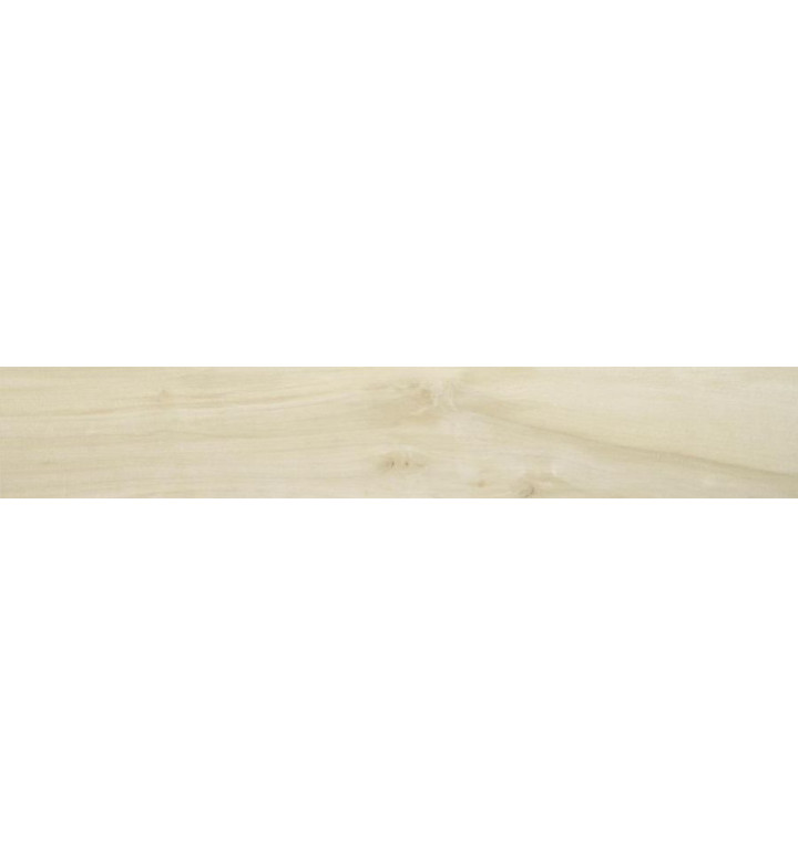 Плочка гранитогрес Bethwood Natural 23x120