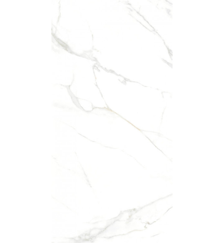 Гранитогрес 60 х 120 cm, Royal Marble White Matte, R