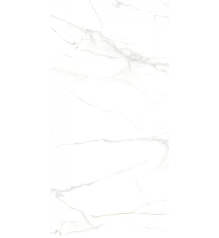 Гранитогрес 60 х 120 cm, Royal Marble White Matte, R