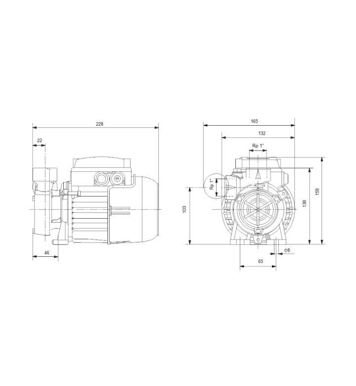 Помпа периферна PF 1-30 CVBP, 1x220-240V